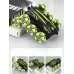 Радиоуправляемая трюковая машинка YiMi VARIETY R/C STUNTCAR, оборотень на 8 колесах, свет, пар, зеленый