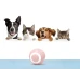 Мячик шарик для кошек, USB smart игрушка YoYo SS-001 со световой индикацией, хаотическим движением football pink