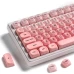 Комплект кейкапов XVX Pink Blush для клавиатуры, 132 штуки