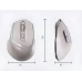 Миша Inphic DR6 Pro бездротова ігрова з комбінованим підключенням - Beige